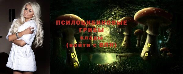 COCAINE Богородицк