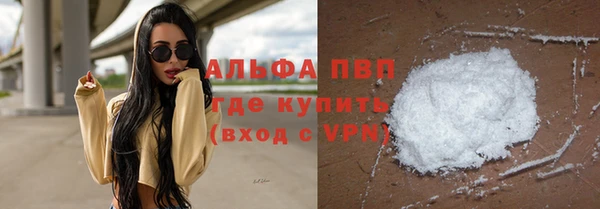 спайс Богданович