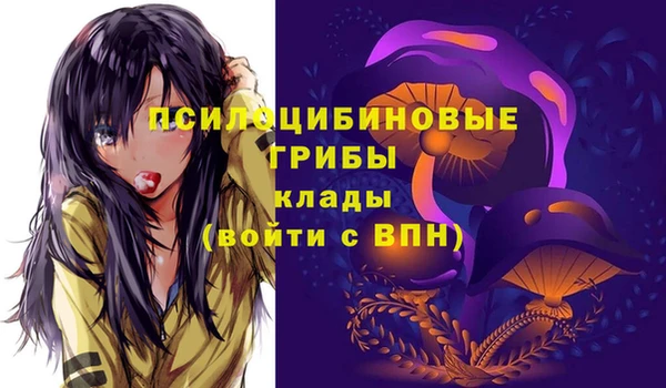 герыч Богородск