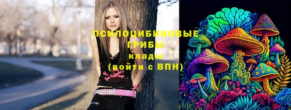 COCAINE Богородицк