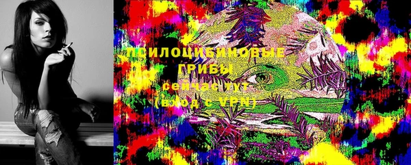 COCAINE Богородицк