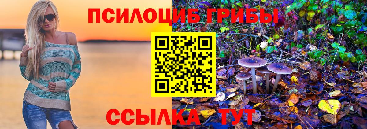 Галлюциногенные грибы прущие грибы Дагестанские Огни