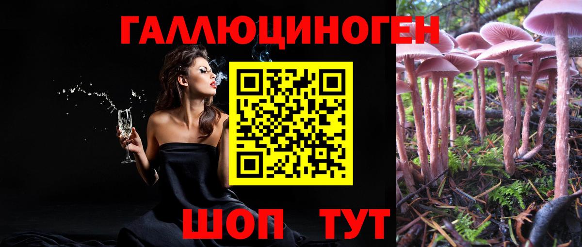 Псилоцибиновые грибы мухоморы  Вход с VPN  Дагестанские Огни 